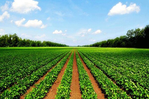 رونمایی از سه سامانه و هشت طرح جدید جهاد کشاورزی