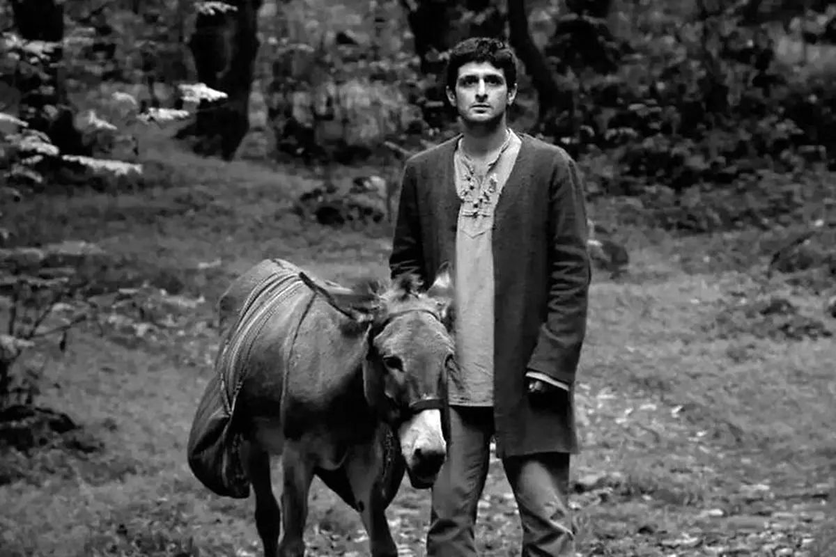 فیلم به باد هم بگو