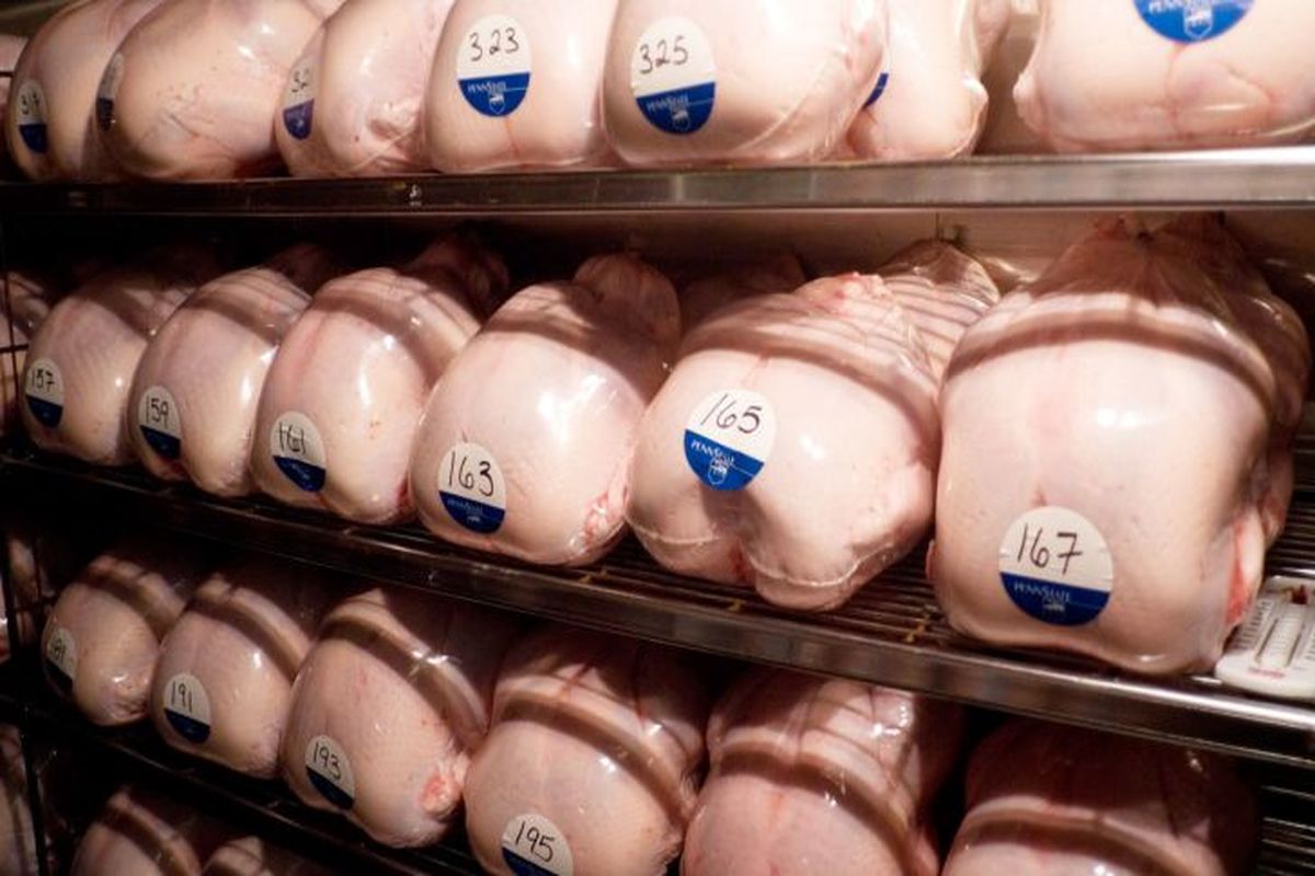زنجیره گران فروشی به مرغداری ها رسید/آزادسازی صادرات بهانه ای برای رکورد جدید قیمت مرغ؟