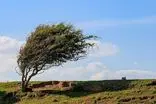 وزش باد گرم تا روز یکشنبه در استان اردبیل ادامه دارد