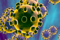 مهار کروناویروس با کمک باکتری روده امکان پذیر است