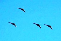 دومین روز رزمایش مشترک پیامبر اعظم (ص) ۱۷ سپاه پاسداران آغاز شد