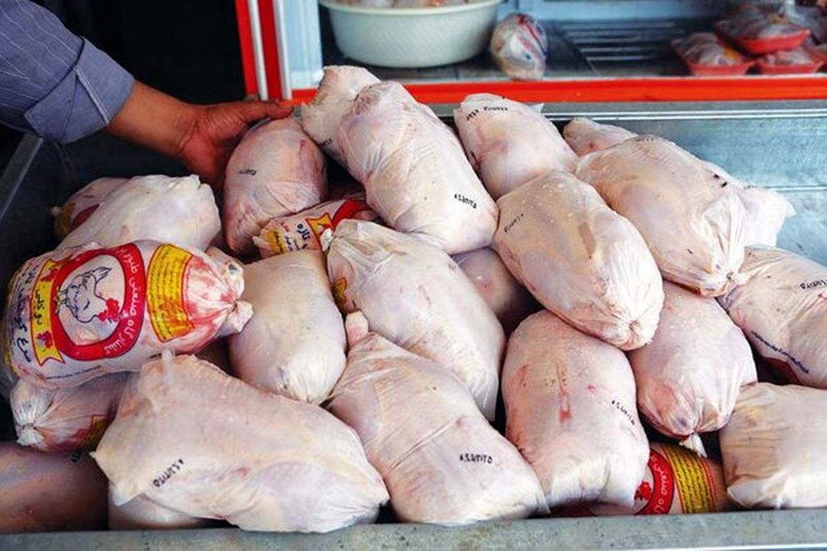 ۵۰۰ کیلوگرم مرغ خارج از شبکه در قزوین به چرخه مصرف بازگشت