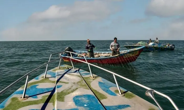 صیادان مازندرانی بیش از ۶۰۰ تن ماهی استخوانی از خزر صید کردند