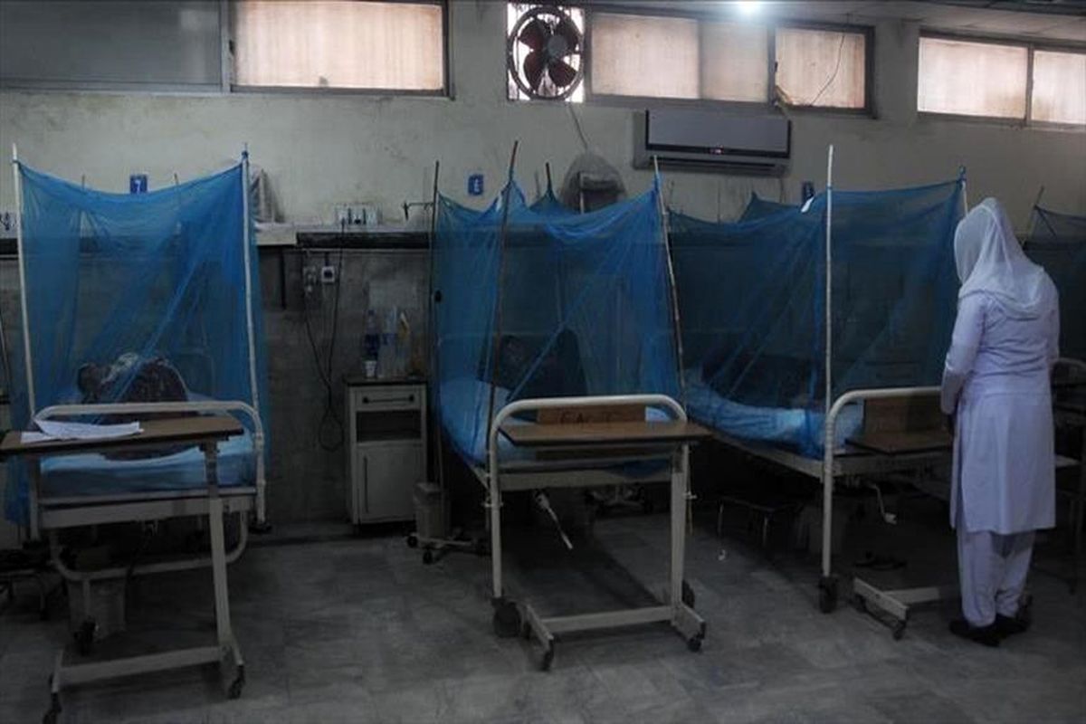 4 مورد ابتلا به وبا در سودان گزارش شد