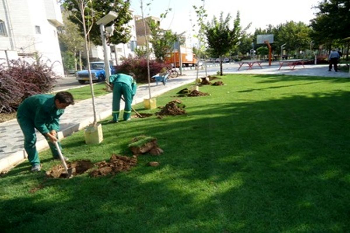 ضرورت افزایش سرانه فضای سبز شهری در استان اردبیل