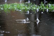 گسترش بارندگی‌ها در کشور از امروز تا ۱۷ فروردین