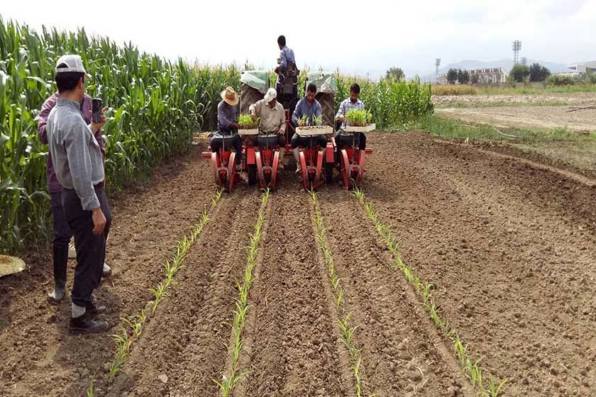 اعطای کشاورزکارت، طرحی از سوی دولت برای حمایت از کشاورزان