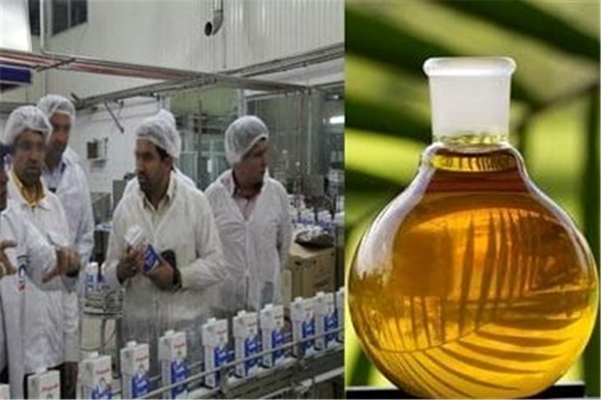 بازار روغن پالم ایران تا سال ۲۰۲۵ به ۶۴۸ میلیون دلار افزایش می یابد