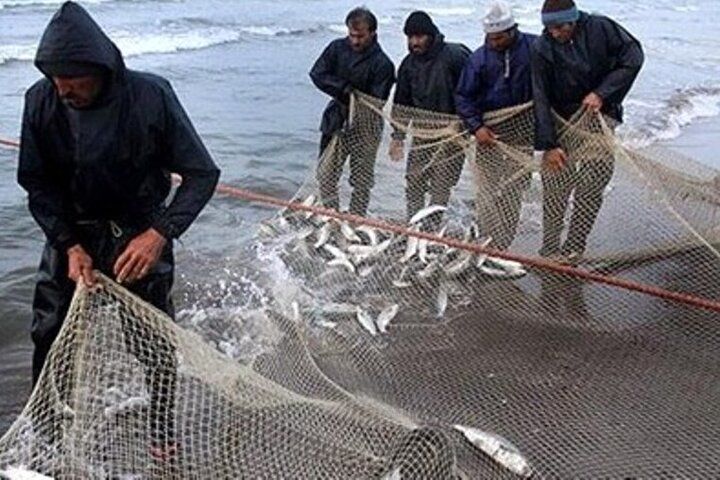 صید 570 تن ماهی استخوانی در مازندران