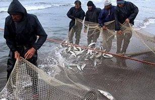 صید ماهیان تجاری در آب‌های ساحلی ممنوع است