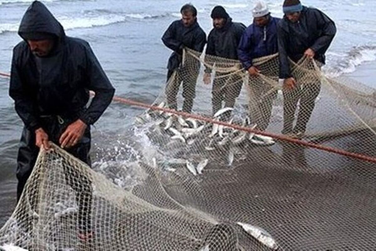 مهلت صید ماهی در دریای مازندران تمدید شد 