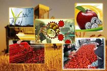 ایجاد تسهیلات ویژه برای نوسازی واحدهای صنایع غذایی و کشاورزی