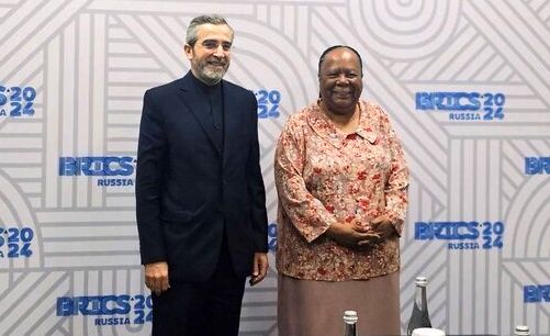 دیدار علی باقری کنی با وزیر امورخارجه آفریقای جنوبی