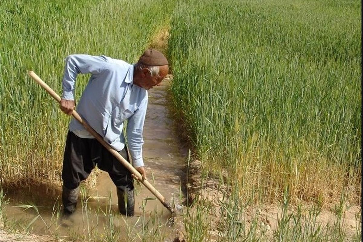 بازنشستگی کشاورزان و روستاییان پیش از موعد منتفی شد