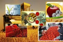 11 واحد صنایع تبدیلی و تکمیلی بخش کشاورزی کرمانشاه احداث‌ شده است