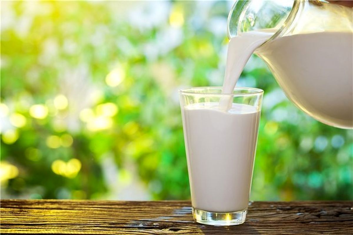 تولید 14 هزار تن شیر در دامداری‌های تنکابن