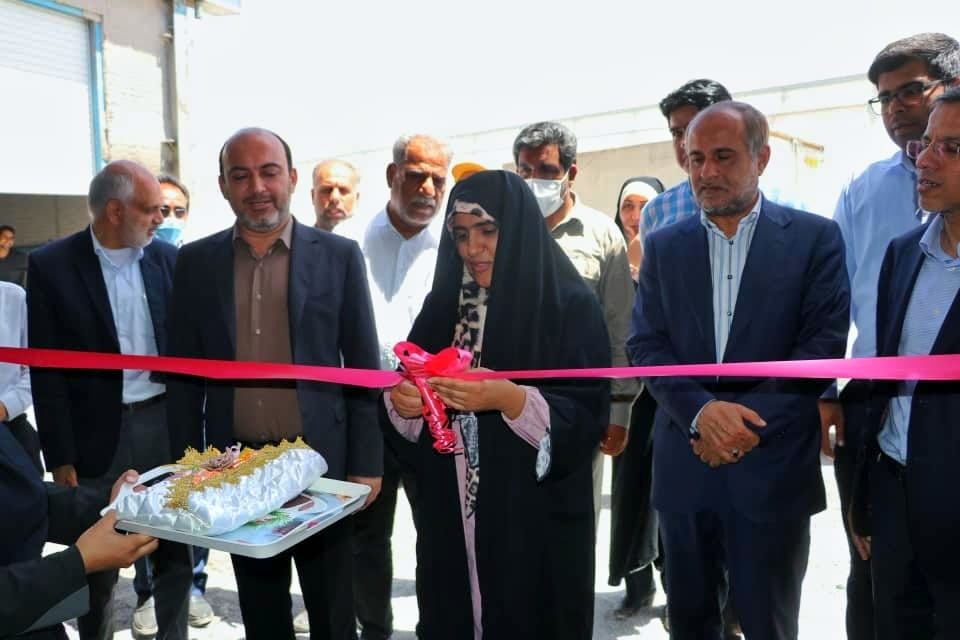 افتتاح یک واحد گلخانه هیدروپونیک در رودان 