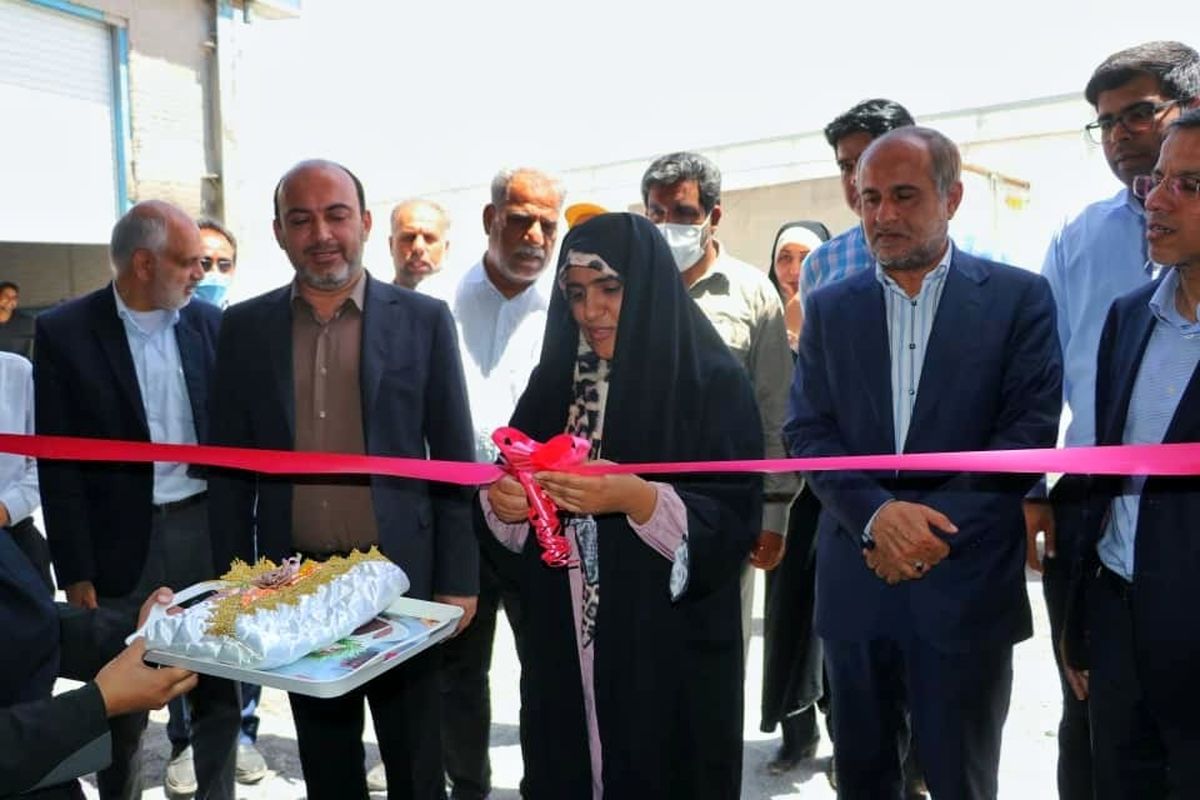 افتتاح یک واحد گلخانه هیدروپونیک در رودان 