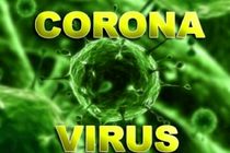 ابتلا به ویروس کرونا در یزد مشاهده نشده است