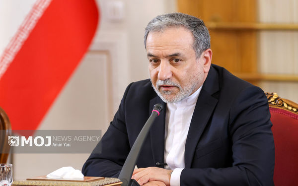 دیپلماسی اقتصادی بدون مشارکت فعال بخش خصوصی محقق نمی‌شود + فیلم