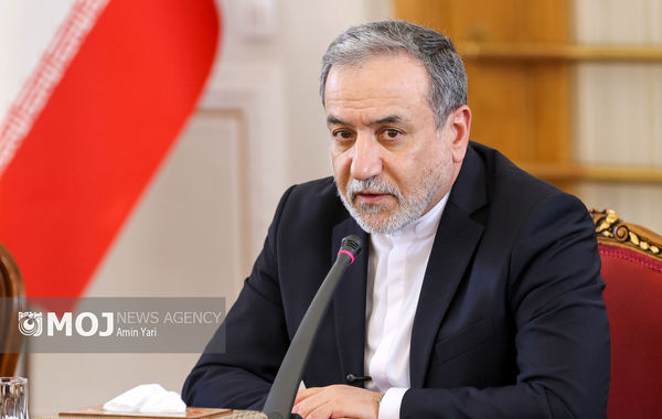 دیپلماسی اقتصادی بدون مشارکت فعال بخش خصوصی محقق نمی‌شود + فیلم