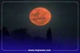 اینفوگرافیک/چگونه نماز آیات بخوانیم؟