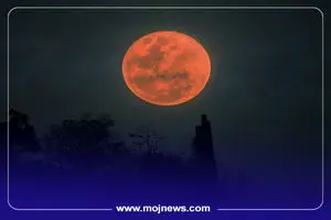 اینفوگرافیک/چگونه نماز آیات بخوانیم؟