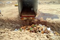  معدوم سازی بیش از  بیست و شش هزار  کیلوگرم آلایش خوراکی منجمد دام فاسد در شهرستان خرمشهر 
