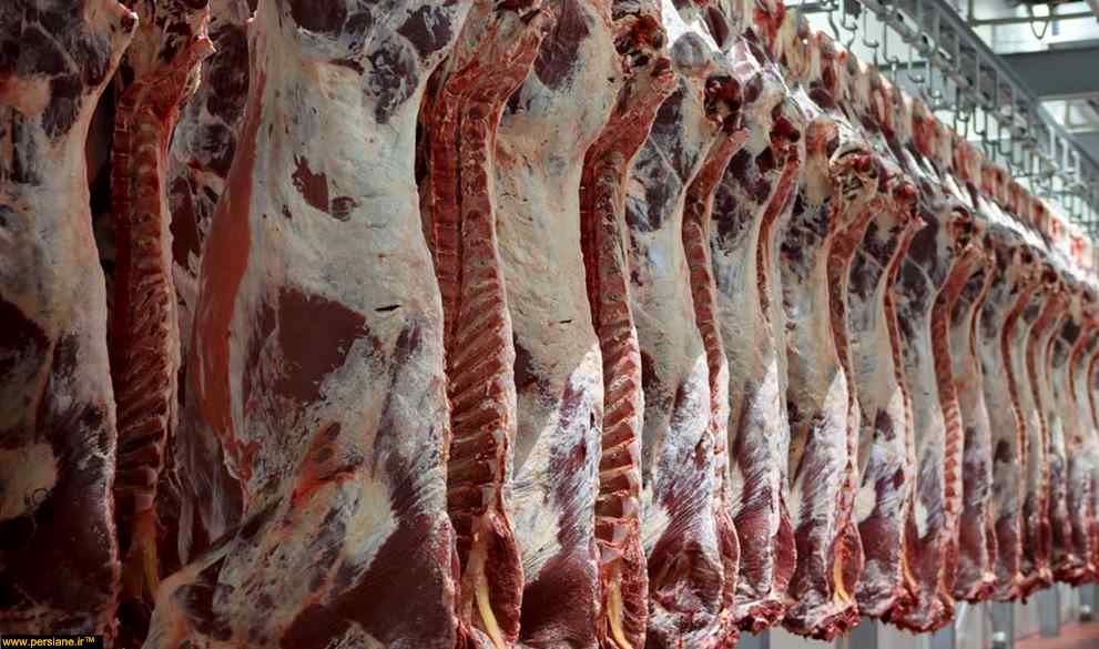 معدوم سازی 105 کیلوگرم گوشت آلوده در رامهرمز