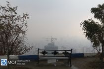 درباره انتقال تجارب شهرداری تهران در خصوص آلودگی هوا به سارایو سوء برداشت شده است