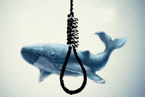 بازی نهنگ آبی نمی‌تواند عامل اصلی خودکشی یک فرد باشد