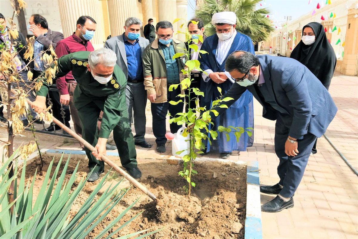 کاشت ۳ اصله نهال مثمر توسط سرپرست فرمانداری ویژه کاشان