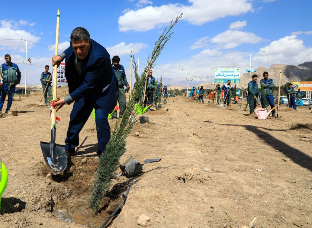 اجرای طرح کاشت یک میلیارد درخت در ۳۸ هکتار از اراضی ساوه