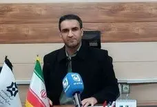 پرداخت ۹۵ درصد مطالبات کشاورزان ایلامی، خرید بیش از ۲۰۹ هزار تن گندم در سال جاری