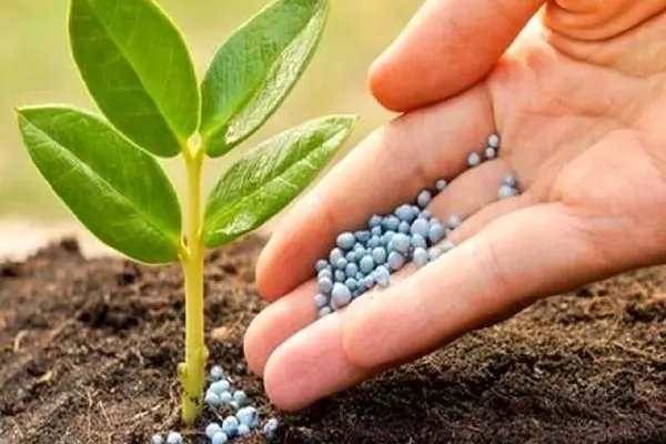 مشکلات ارزی و سهمیه‌بندی تهدیدی جدی برای آینده صنعت سموم