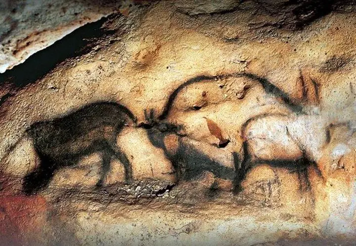 سند سکونت انسان های هوشمند در ۶۵ هزار سال پیش ثبت شد