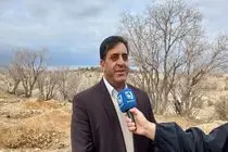 پاکسازی ۲هزارو ۷۵۰ هکتار از جنگل‌های ایلام از آفت لورانتوس