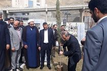 درختکاری ریشه در اعتقادات مسلمانان و ایرانیان دارد
