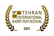 شیوه برگزاری ترکیبی حضوری و آنلاین در جشنواره فیلم کوتاه تهران دائمی شده است