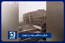 بارش سنگین برف در تهران