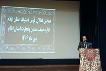 عزم استاندار ایلام برای احیای فرش دستباف، کمیته راهبری و حمایت همه‌جانبه از بافندگان تشکیل می شود