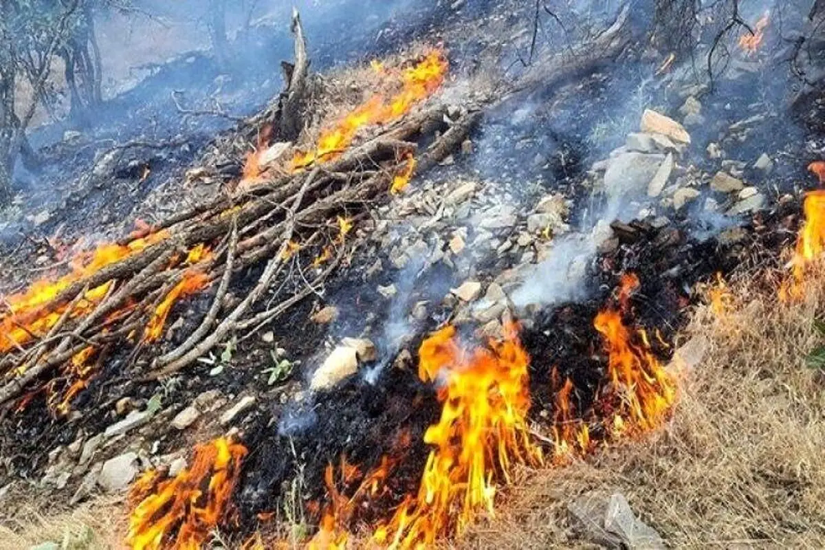 نابودی ۵۰ هکتار از تندوره دستاورد غفلت گردشگران