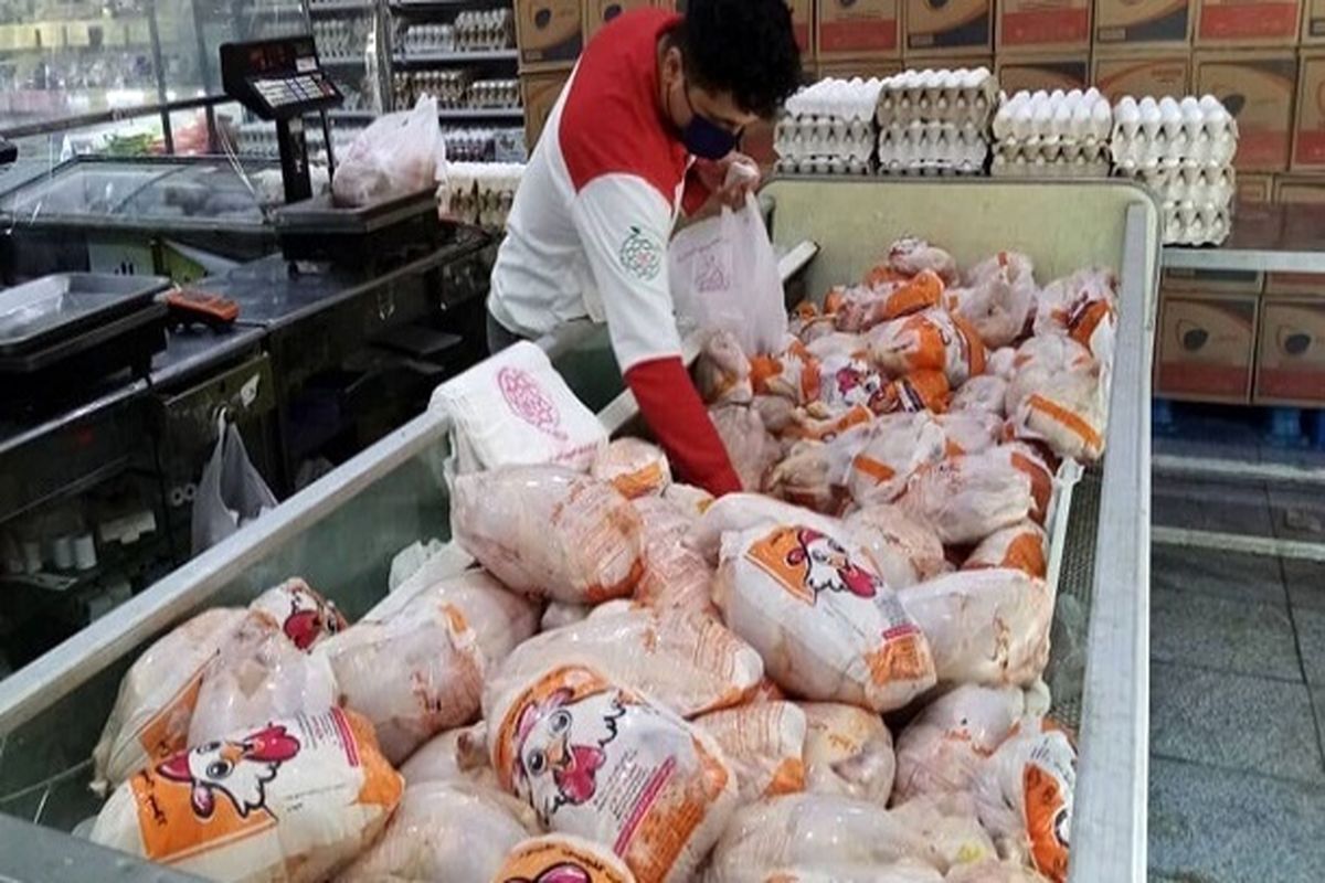 میادین تره بار ۱۸ درصد گوشت مرغ را ارزان‌تر عرضه می‌کنند