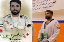پیام تسلیت وزیر ورزش و جوانان در پی شهادت یک تکواندوکار در حمله تروریستی جیش‌الظلم
