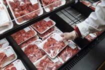 توزیع هفتگی ۵۰ تن گوشت قرمز منجمد در بازار کردستان آغاز شد