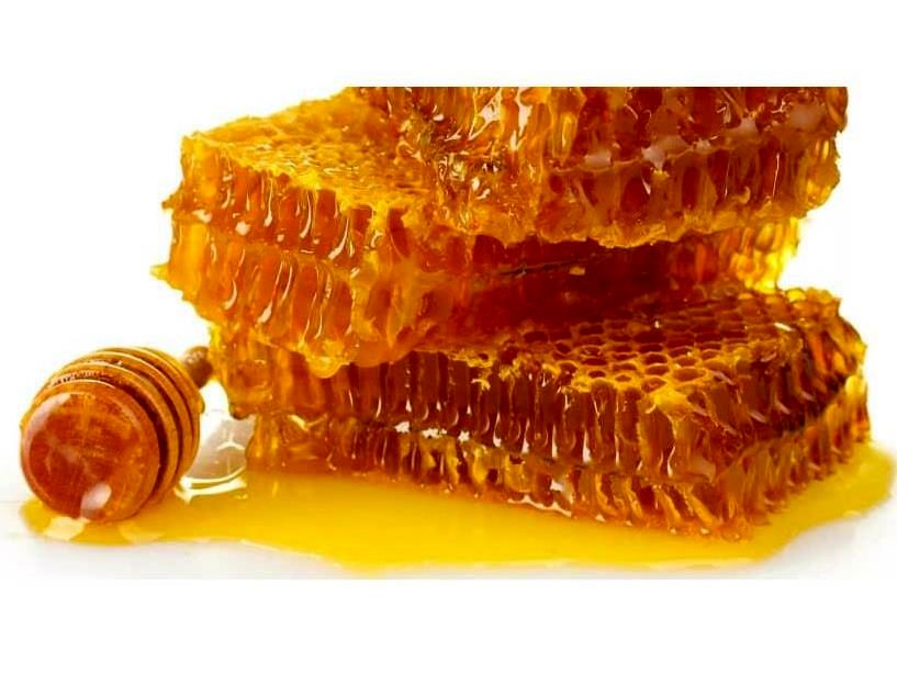 تولید 6800 تن عسل در مازندران