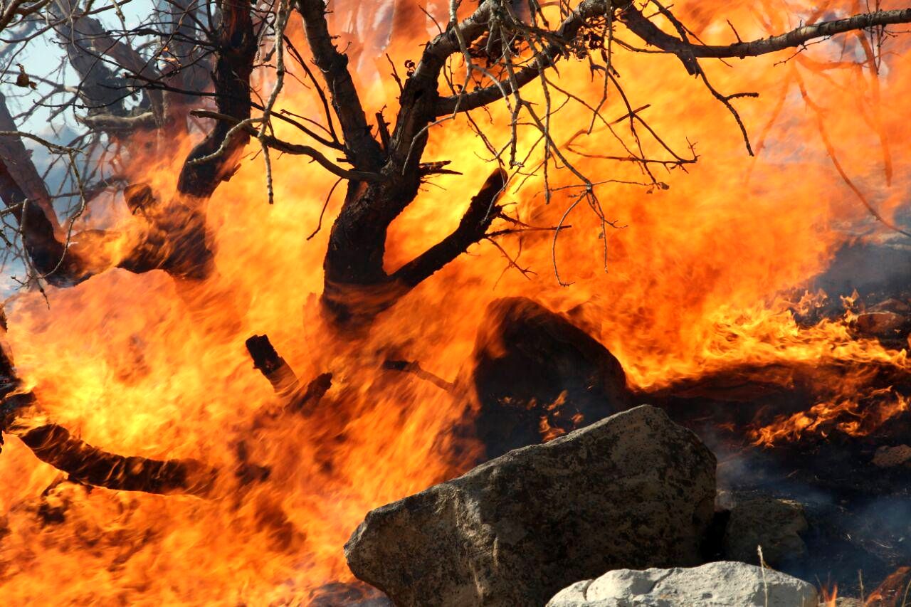 آتش سوزی جنگل های پلدختر تا این لحظه مهار نشده است