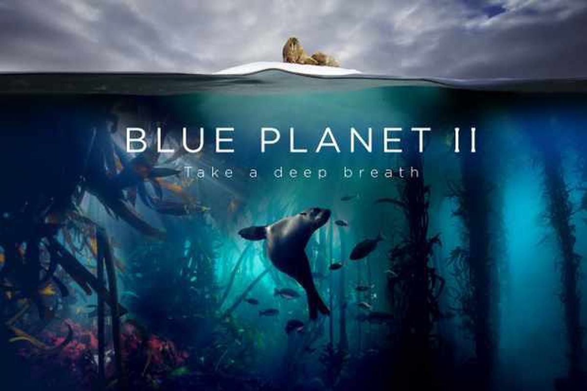 مستند سیاره آبی 2 با موضوع زندگی دریایی از شبکه چهار پخش می‎شود