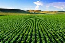 نظام مهندسی کشاورزی باید دوره‌های کاربردی برگزار کند